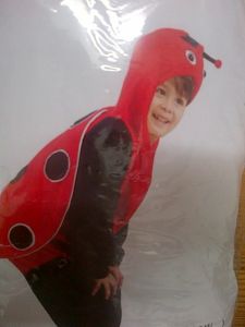 Kids Costumes to Hire - Ladybug - kid  costume - 120cm